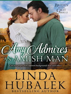 cover image of Amy admires an Amish Man